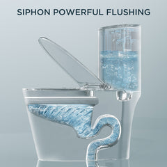 TVOFEK Comfort Height Modern One Piece Toilet, 1.1/1.6 GPF Elongated Dual Flush Toilet with Soft Closing Seat, Standard Modern Toilet for Bathroom, 12" Rough-In