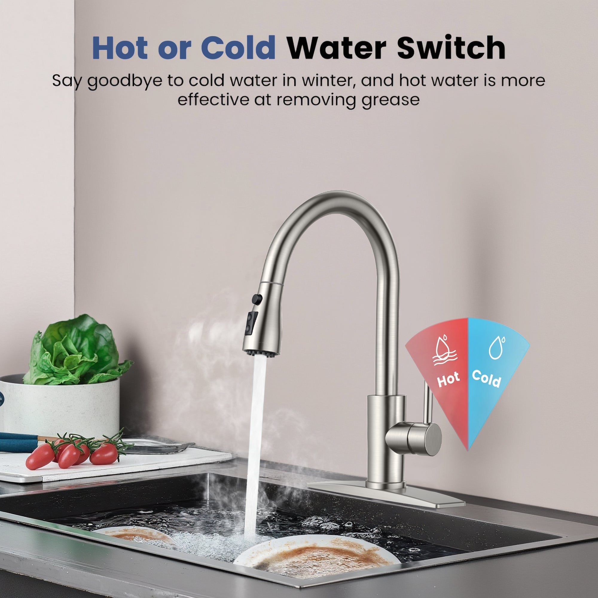 Kichen Water TVOFEK Kitchen Faucet with Sprayer, Brushed Nickel Kitchen Water Fauce
