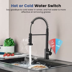 TVOFEK Kitchen Faucet with 3-Mode Sprayer, Brushed Nickel Spring Kitchen Water Faucets with Deck Plate for RV Laundry Vessel