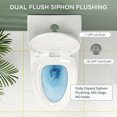 TVOFEK 17" ADA Comfort Height Dual-Flush Toilet Modern Elongated One-Piece Toilet for Floor Mounted Glazed Surface (Seat Included)