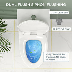 TVOFEK 17" ADA Comfort Height Dual-Flush Toilet Modern Elongated One-Piece Toilet for Floor Mounted Glazed Surface (Seat Included)